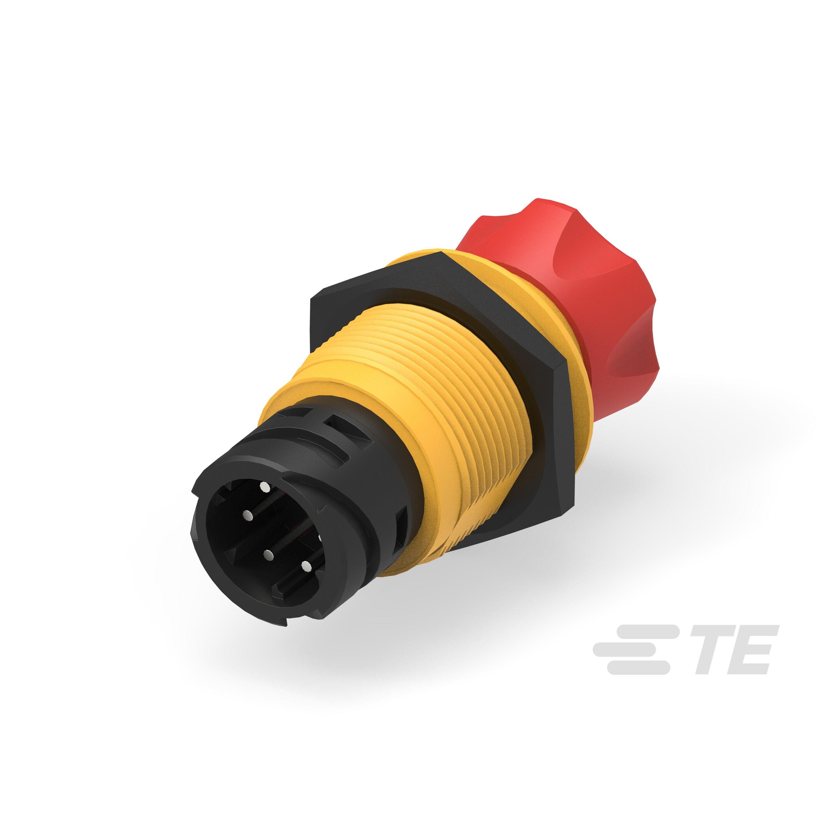 ES-2011-T121 - TE - Kissling
