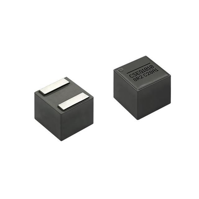 CSEG1010-3R3M