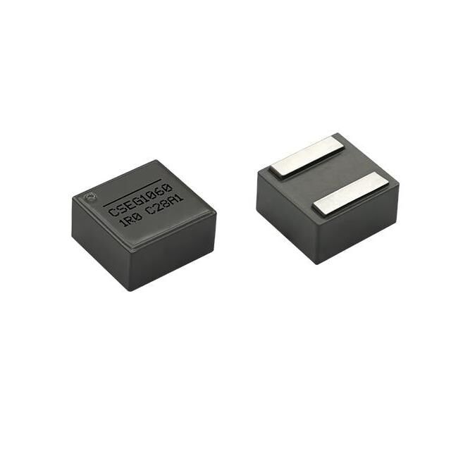 CSEG1060-2R2M