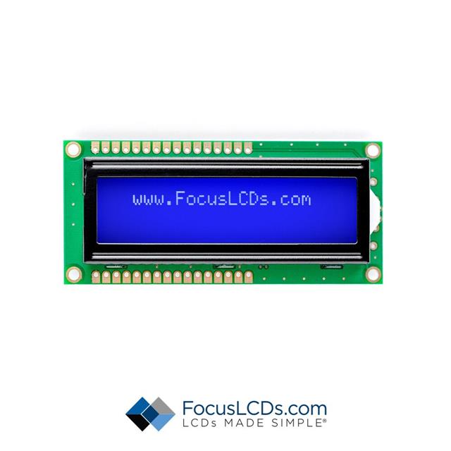 C162A-BW-LW63 - Focus LCDs