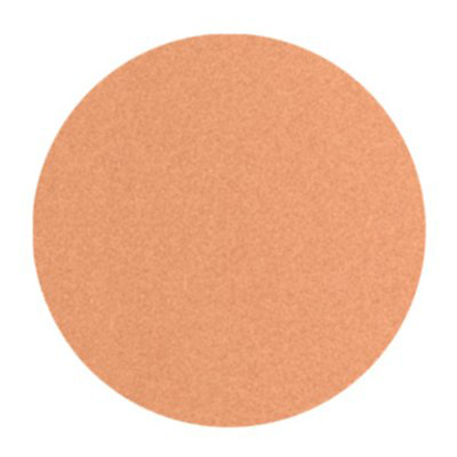 15MIC 3M668X PSA DISC 12"X1.25"DIE - 3M