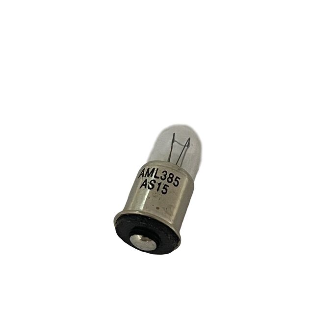 385AS15 - Advanced Micro Lites