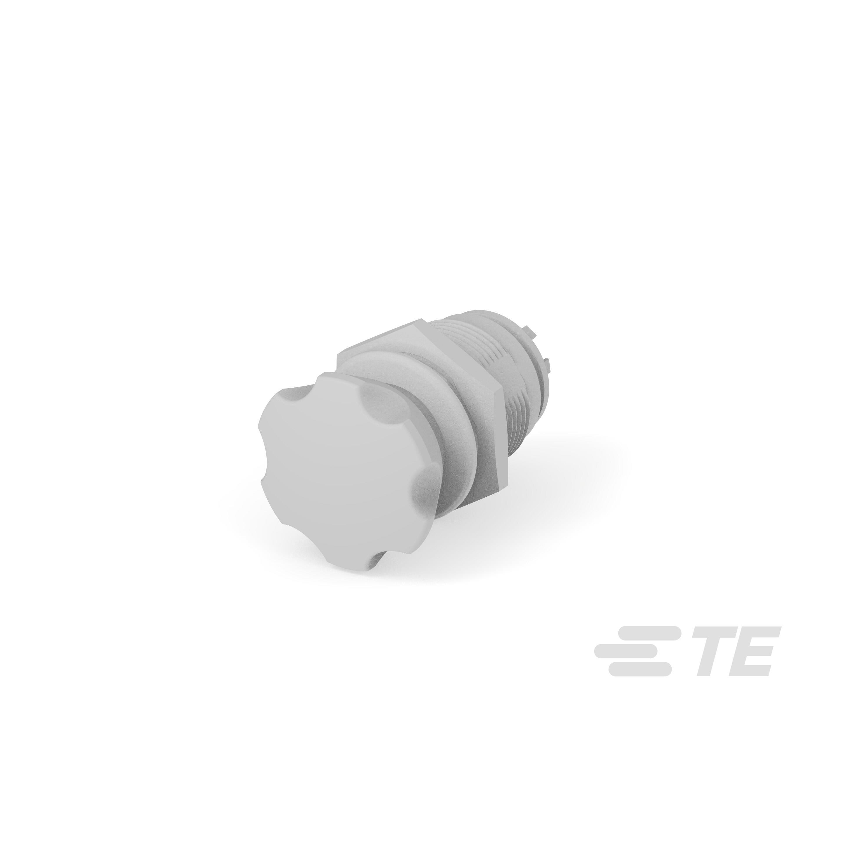 ES-2012-T212 - TE - Kissling