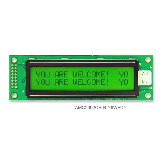 AMC2002CR-B-Y6WFDY - Orient Display