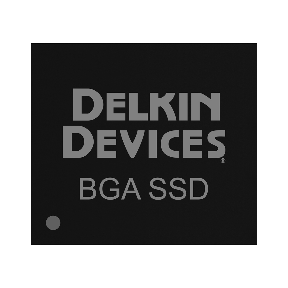 FA1TFSTNV-AD000-2 - Delkin Devices
