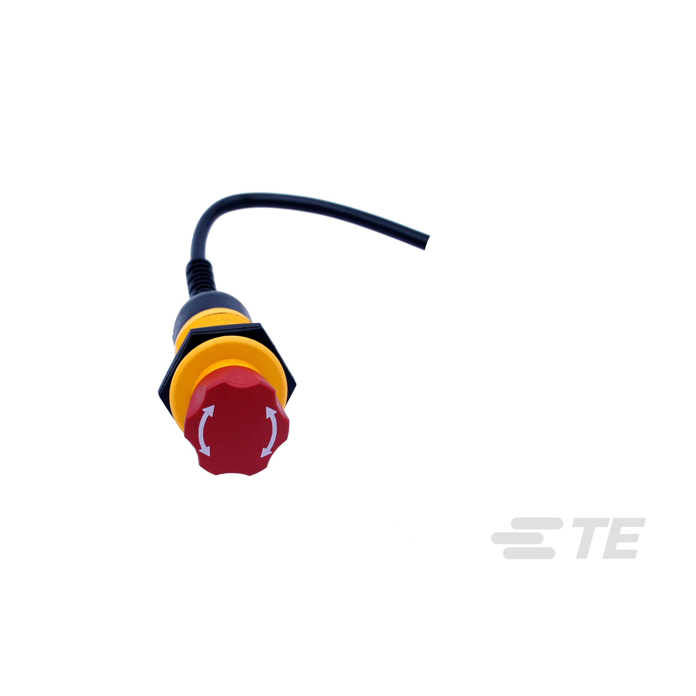 ES-2011-T311-018A - TE - Kissling